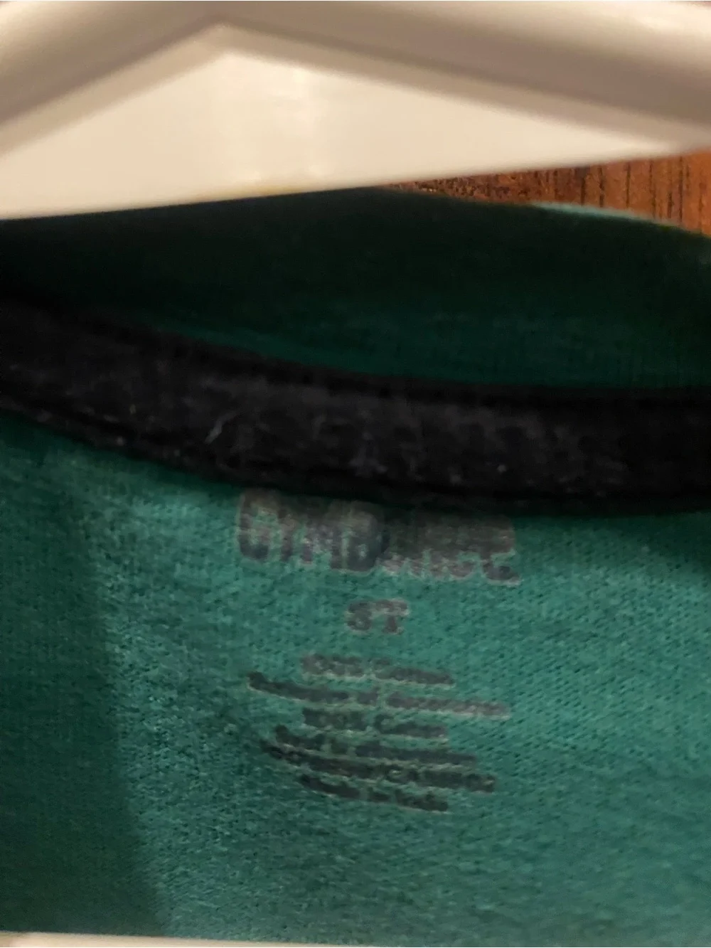 Gymboree Teal and Gray 'Manners Academy' Layered Long Sleeve Tee